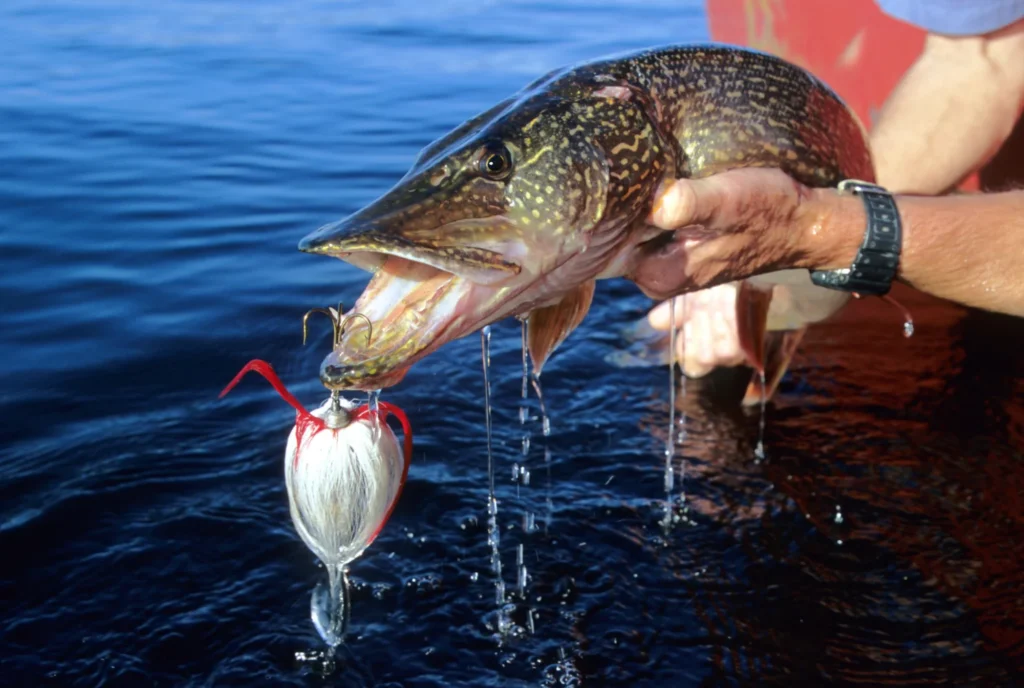 higgins-lake-cottage-fishing